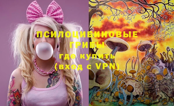 крисы Верея