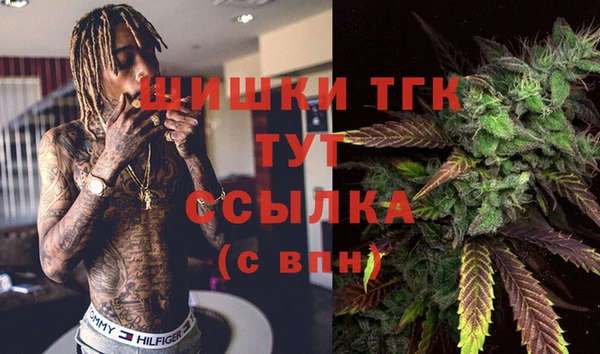 крисы Верея