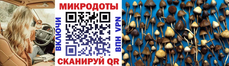 kraken как зайти  Мезень  Галлюциногенные грибы Magic Shrooms  наркотики 
